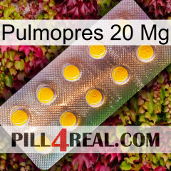 Pulmopres 20Mg new11
